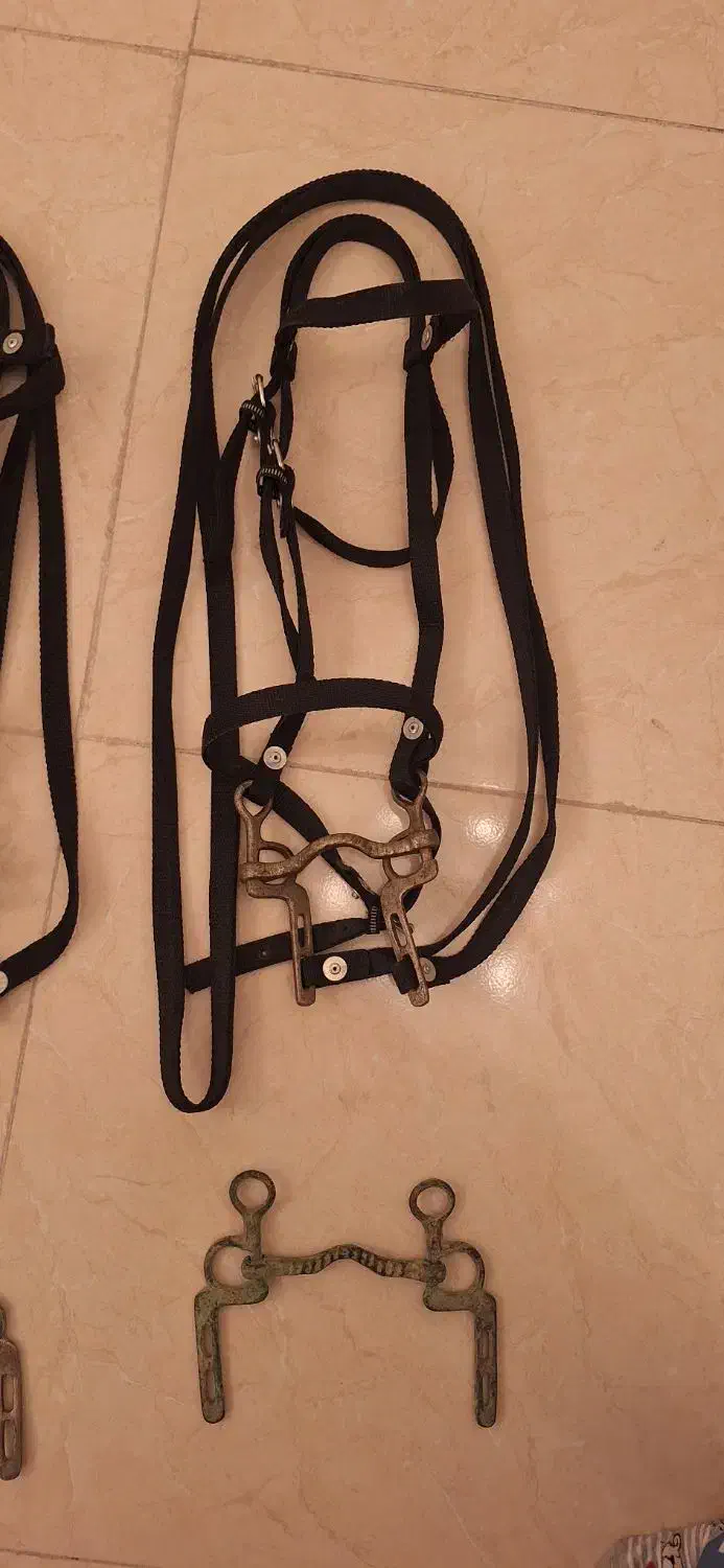 دهنه اسب قدیمی|اسب و تجهیزات اسب‌سواری|اردبیل, |دیوار