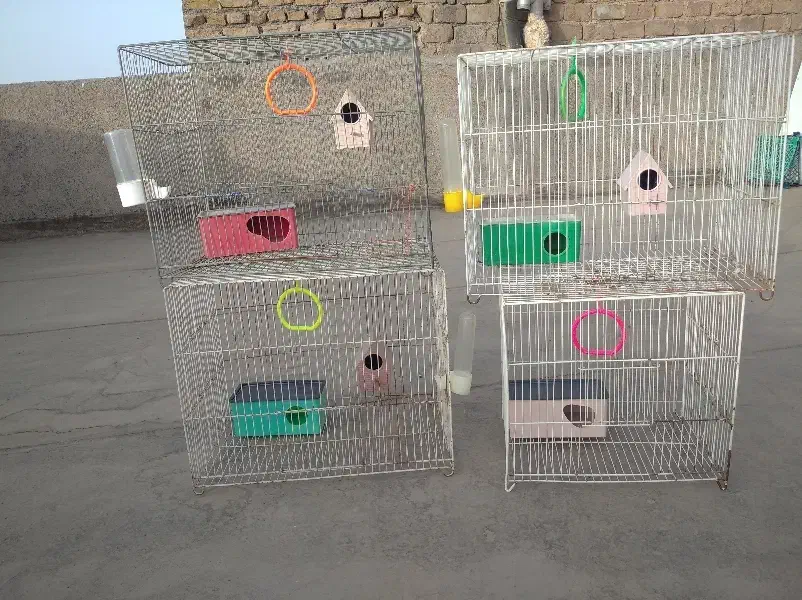قفس پرنده|لوازم جانبی حیوانات|مشهد, کوشش|دیوار