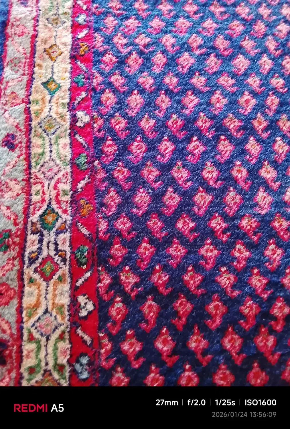 قالی دست باف|فرش|بروجرد, |دیوار