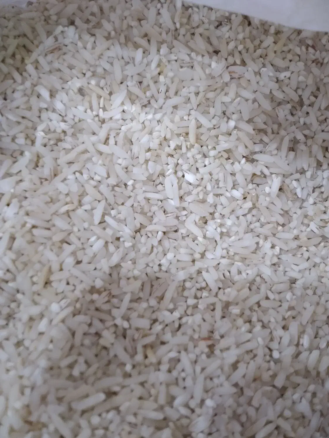 نیم دانه هاشمی|خوردنی و آشامیدنی|چابکسر, |دیوار