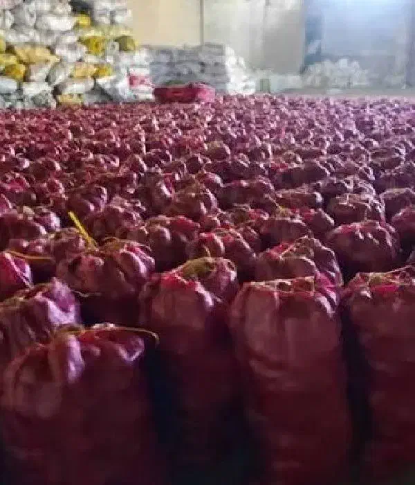 اجاره انبار زیر زمینی۳۰۰ متری کبودراهنگ امیراباد|اجارهٔ دفتر صنعتی، کشاورزی، تجاری|کبودرآهنگ, |دیوار