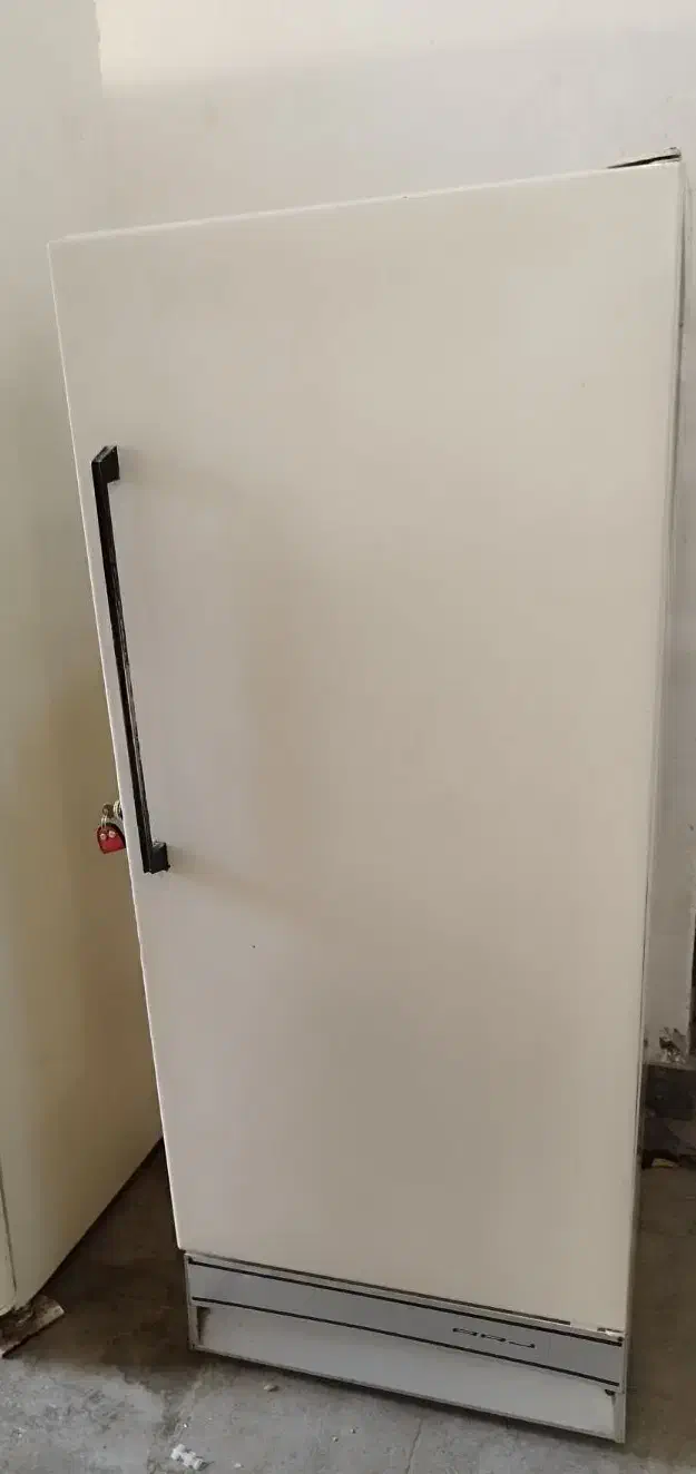 یخچال فریزر ارج موتور گازی فابریک بدون خرابی سالم|یخچال و فریزر|بندرعباس, |دیوار