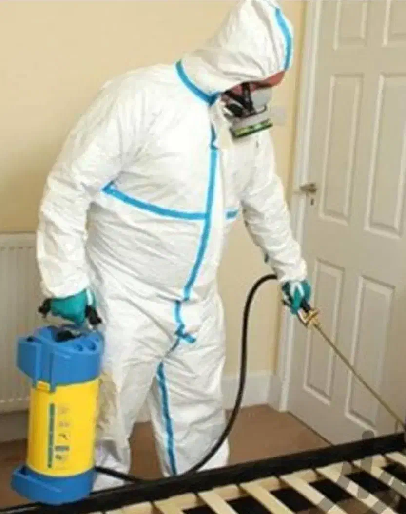 شرکت سمپاشی آریا سم پاشی سوسک ساس کنه(سراسر مشهد)|خدمات نظافت|مشهد, وکیل‌آباد|دیوار