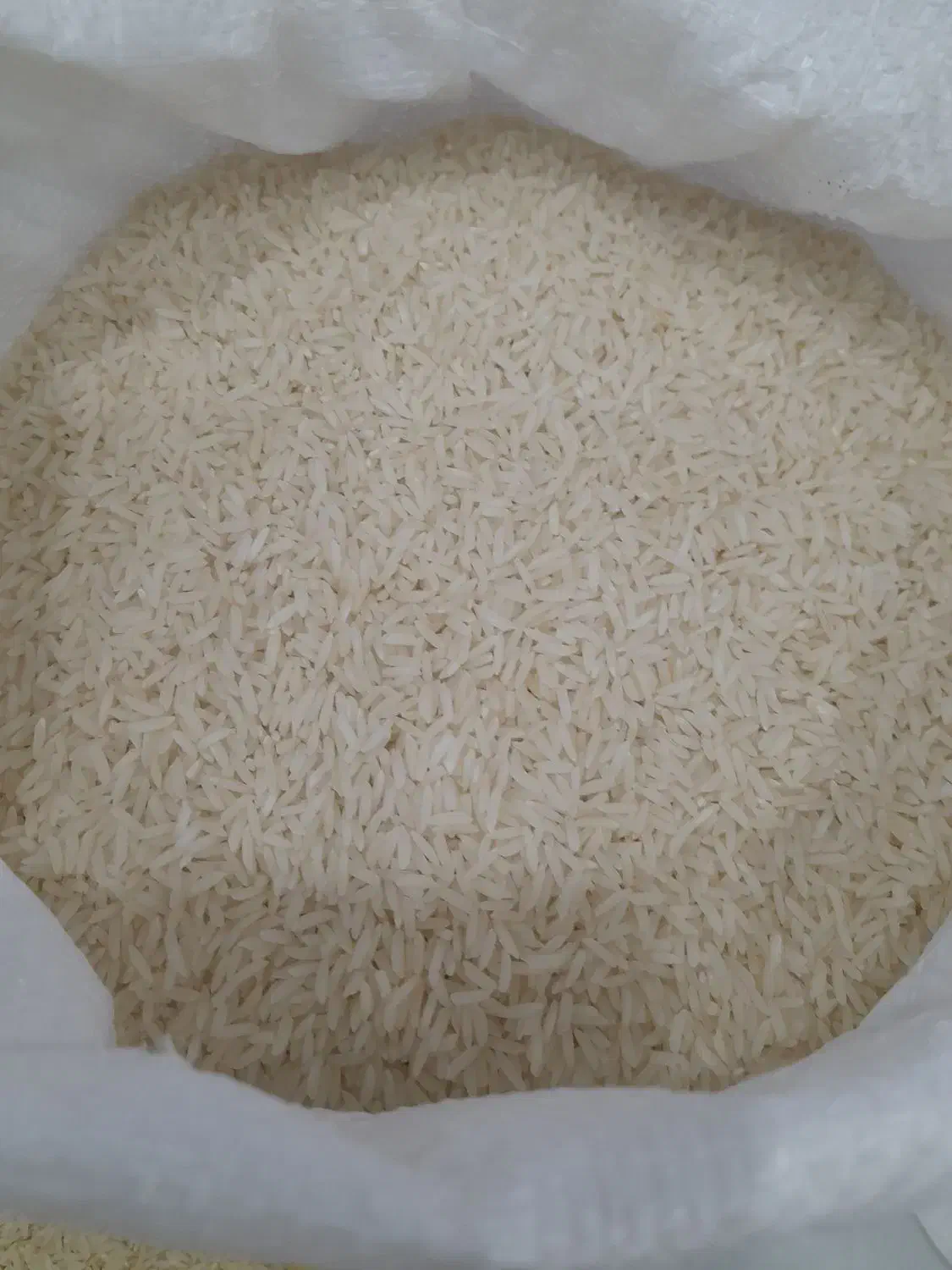 برنج هاشمی و راتون(شاه برنج)|خوردنی و آشامیدنی|صومعهسرا, |دیوار