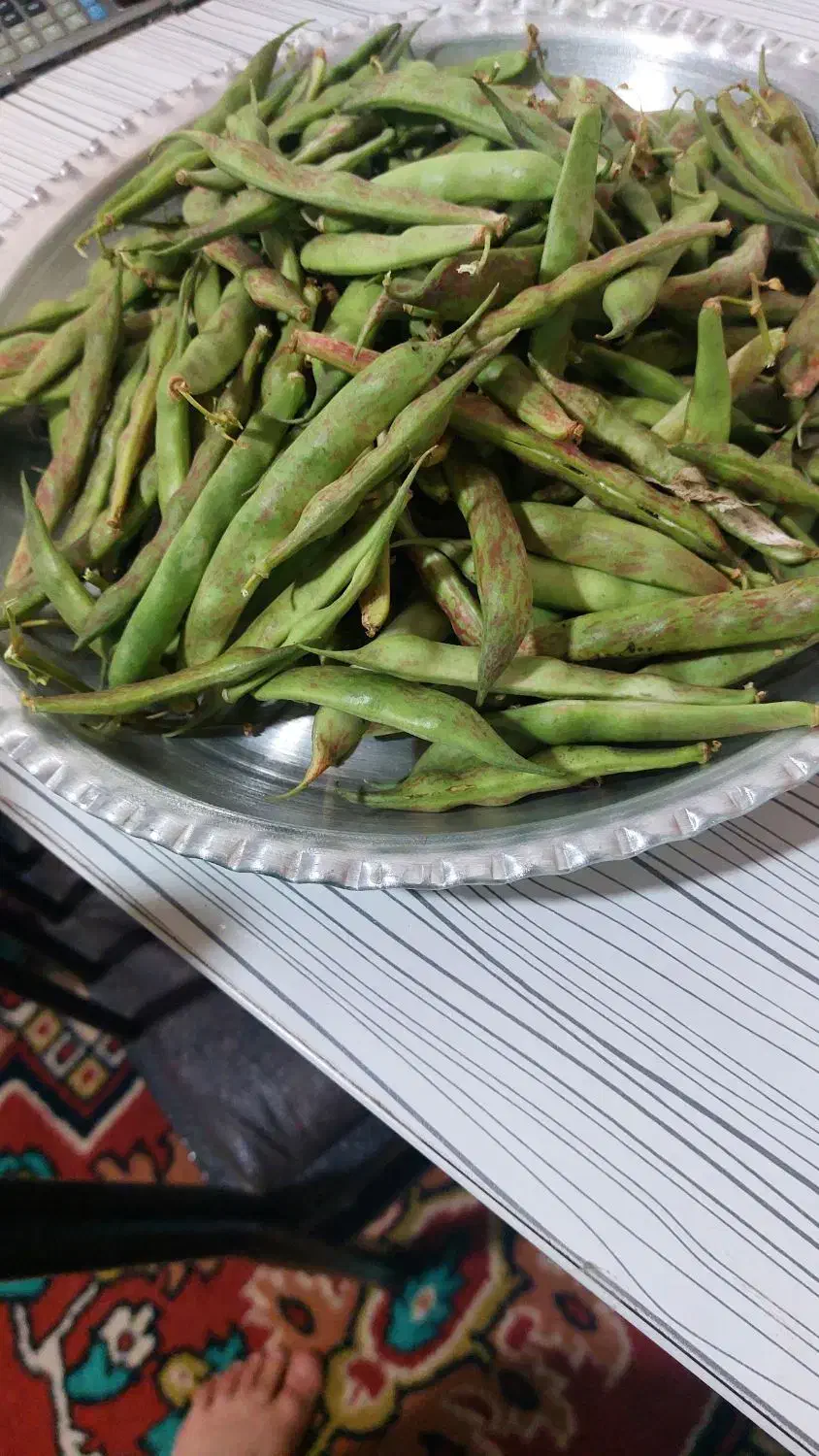 لوبیا چیتی سبز تازه|خوردنی و آشامیدنی|اهر, |دیوار