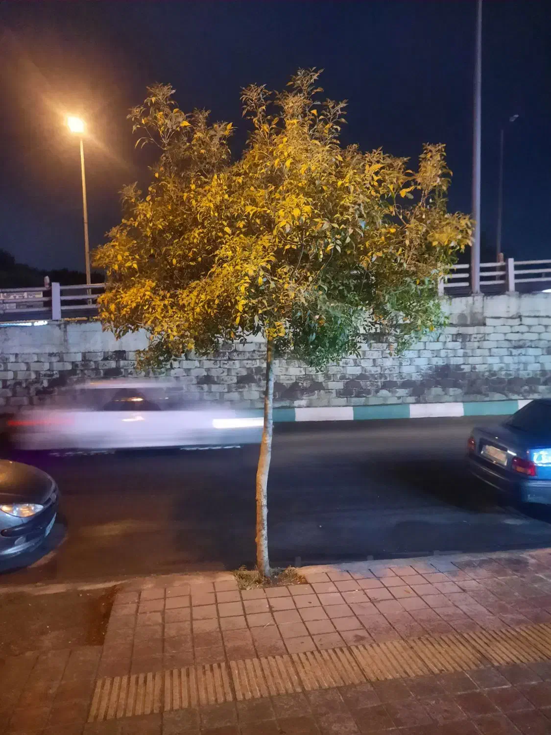 استخدام|استخدام خدمات فروشگاه و رستوران|رشت, پیرسرا|دیوار