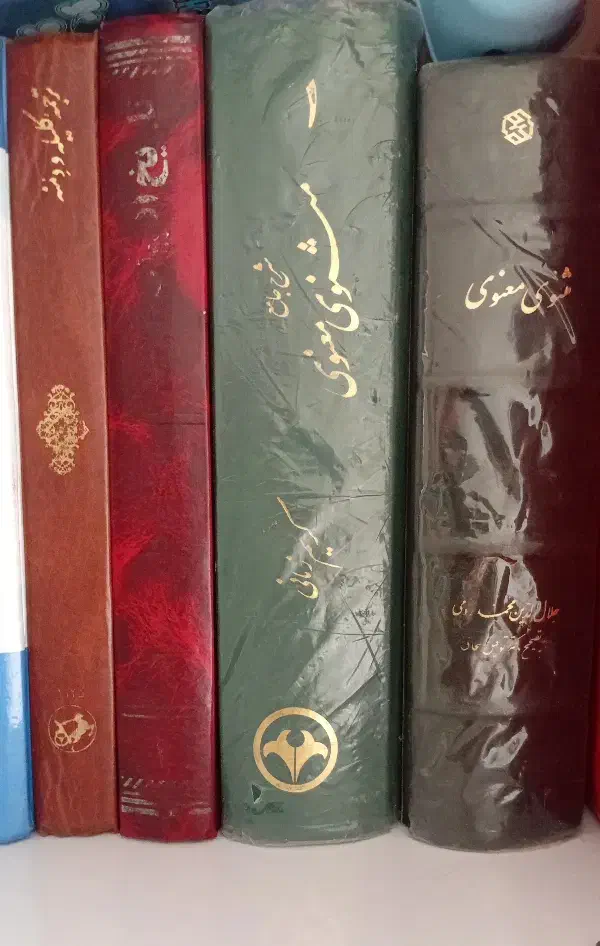 کتاب دانشگاهی|کتاب و مجله تاریخی|رشت, دیانتی|دیوار