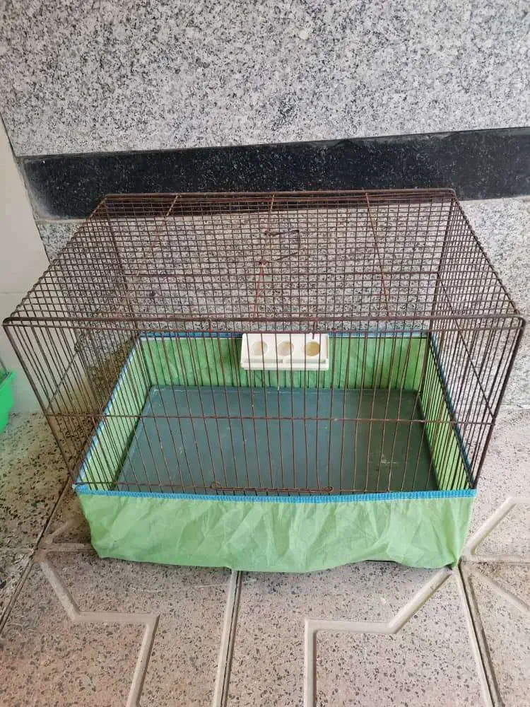 لوازم پرنده|لوازم جانبی حیوانات|ابرکوه, |دیوار