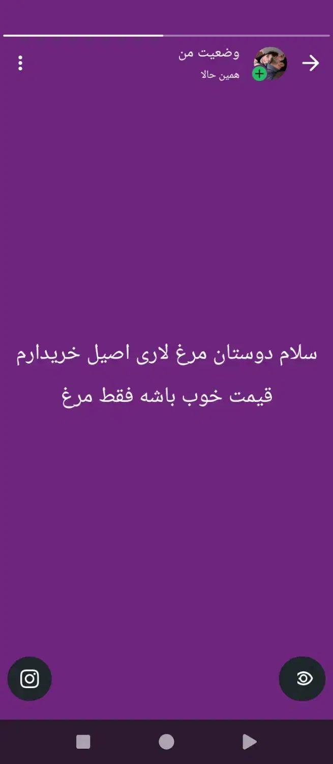 مرغ لاری خر ی ا|حیوانات مزرعه|خاش, |دیوار