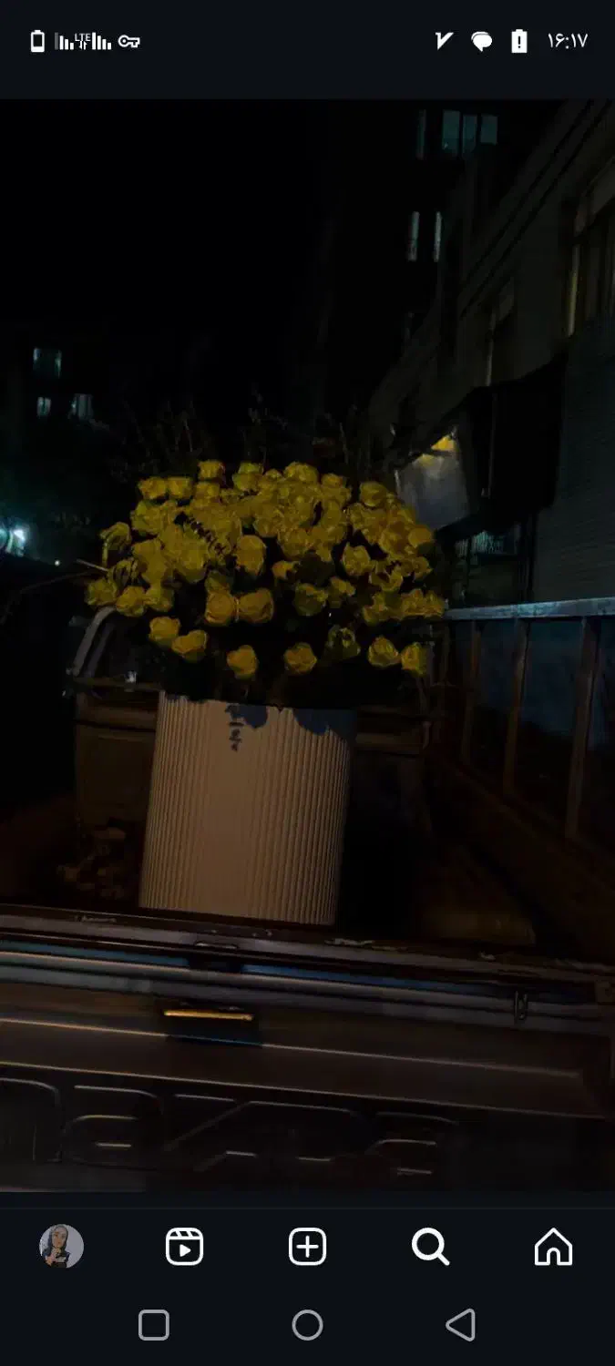 گل آرایی|گل و گیاه طبیعی|مشهد, شهید احمدی روشن|دیوار