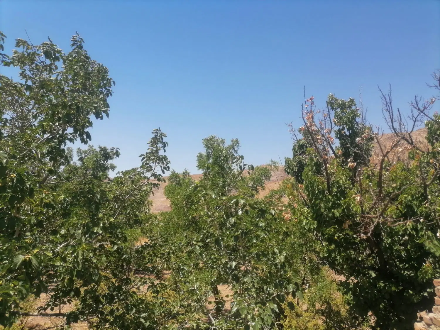 تصویر 4