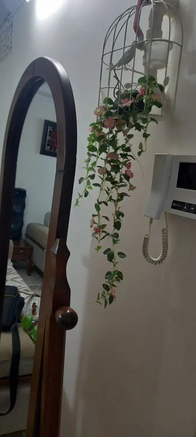 آینه قدی چوب راش|آینه|تهران, افسریه شمالی|دیوار