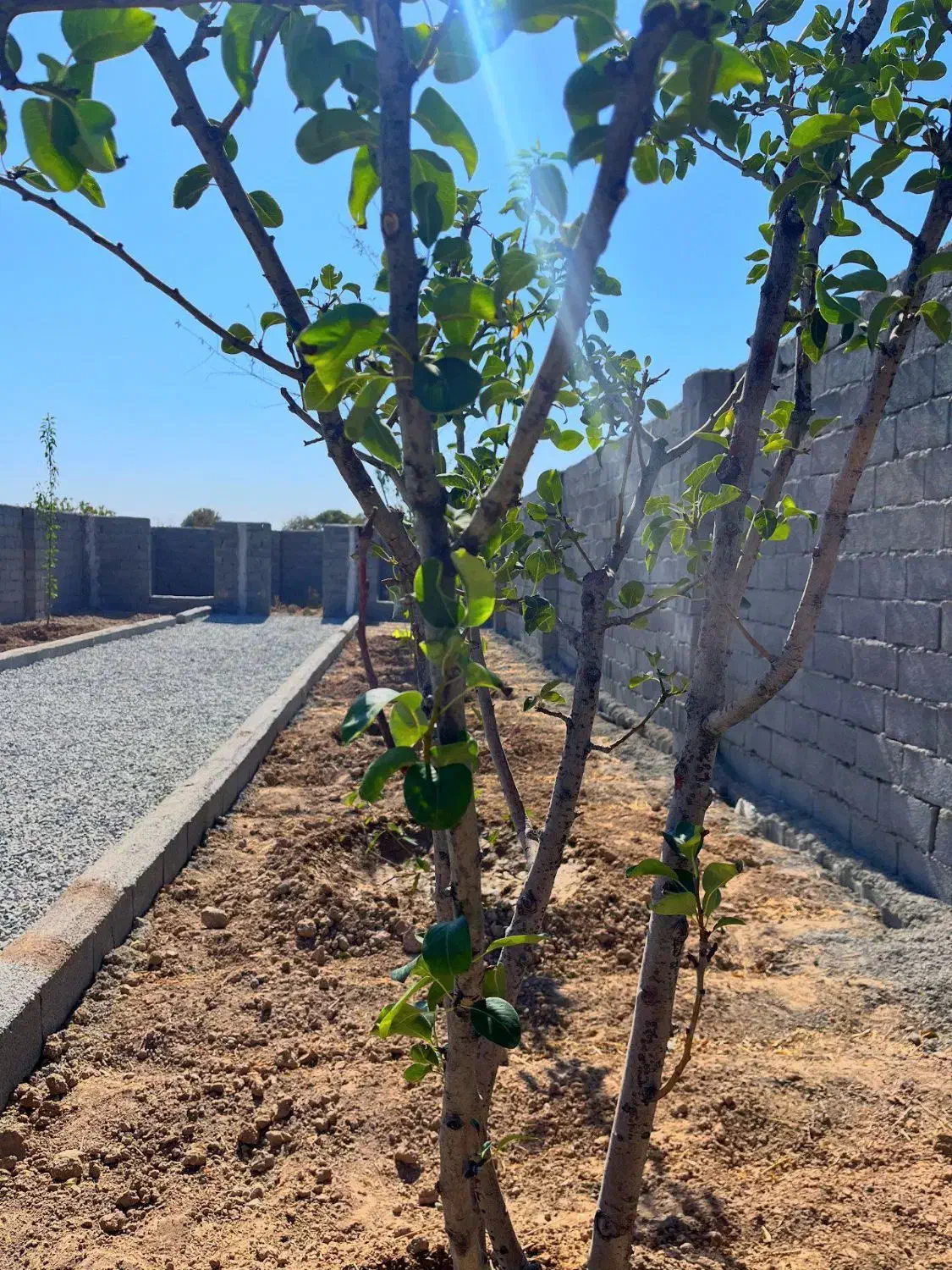 باغچه*چسب انشعابات *خرید از مالک|فروش زمین و ملک کلنگی|اسلامشهر, شهرک احمدیه|دیوار