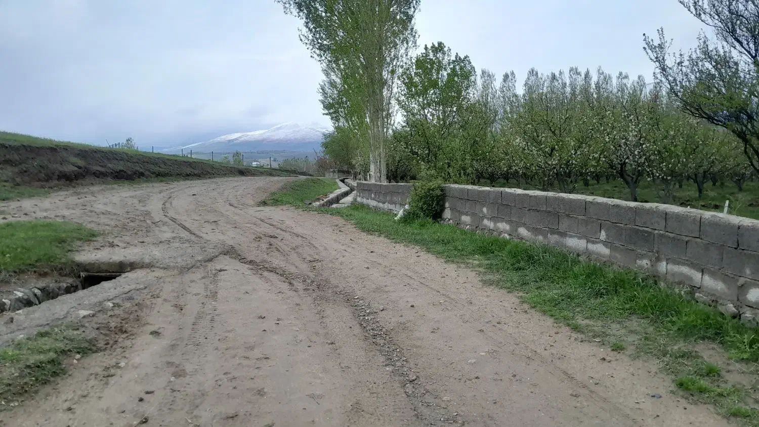 فروشی|فروش زمین و ملک کلنگی|مشگین شهر, |دیوار