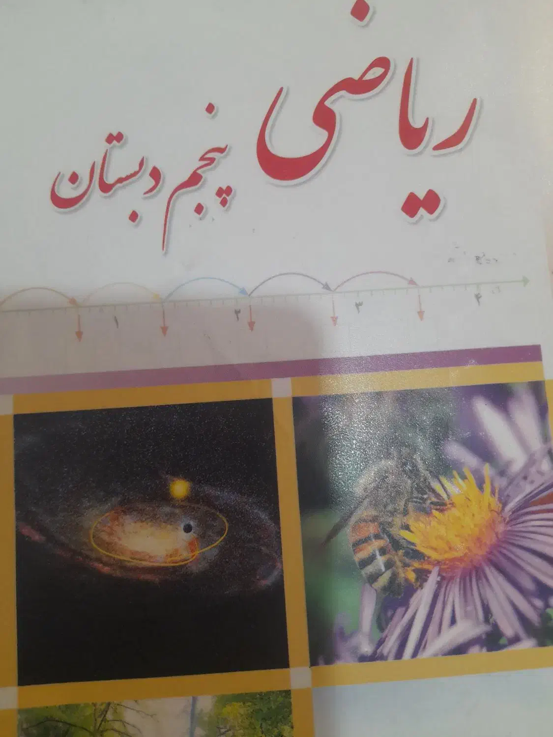 معلم خصوصی اول تا هفتم|خدمات آموزشی|رفسنجان, |دیوار