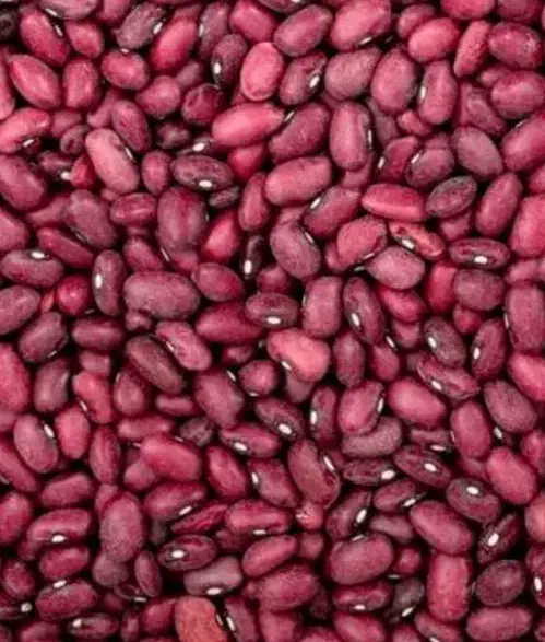 لوبیاقرمز|خوردنی و آشامیدنی|قم, زند آباد|دیوار