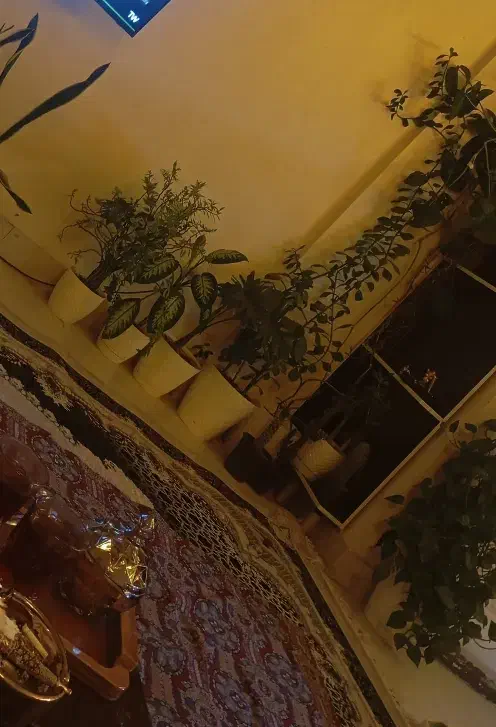 همخانه|اجارهٔ آپارتمان|هشتگرد, فاز ۱ مهستان|دیوار