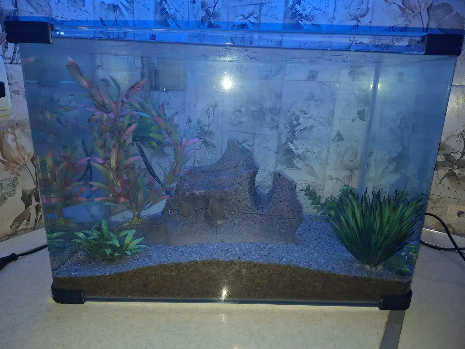 اکواریوم شیشه خم ۵۰×۳۰×۳۵|ماهی|شیراز, صنایع الکترونیک|دیوار