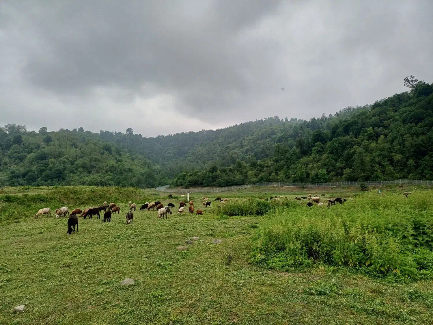 تور شمال .بابلسر .پارک جنگلی نور .دریاچه الیمالات|تور و چارتر|نیشابور, مدرس|دیوار