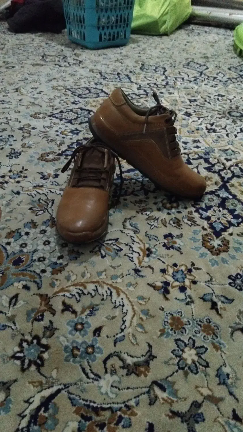 کفش|کیف، کفش، کمربند|شیروان (خراسان), |دیوار