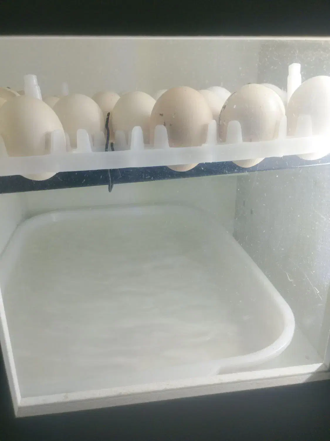 دستگاه جوجه کشی 42 تایی هدایت.معاوضه نمیکنم باهیچی|لوازم جانبی حیوانات|زاهدان, |دیوار