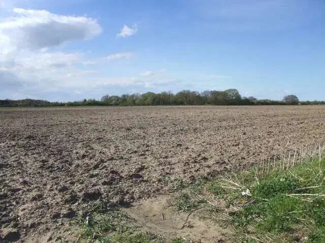 زمین گلخانه و کشاورزی|فروش دفتر صنعتی، کشاورزی، تجاری|دهاقان, |دیوار