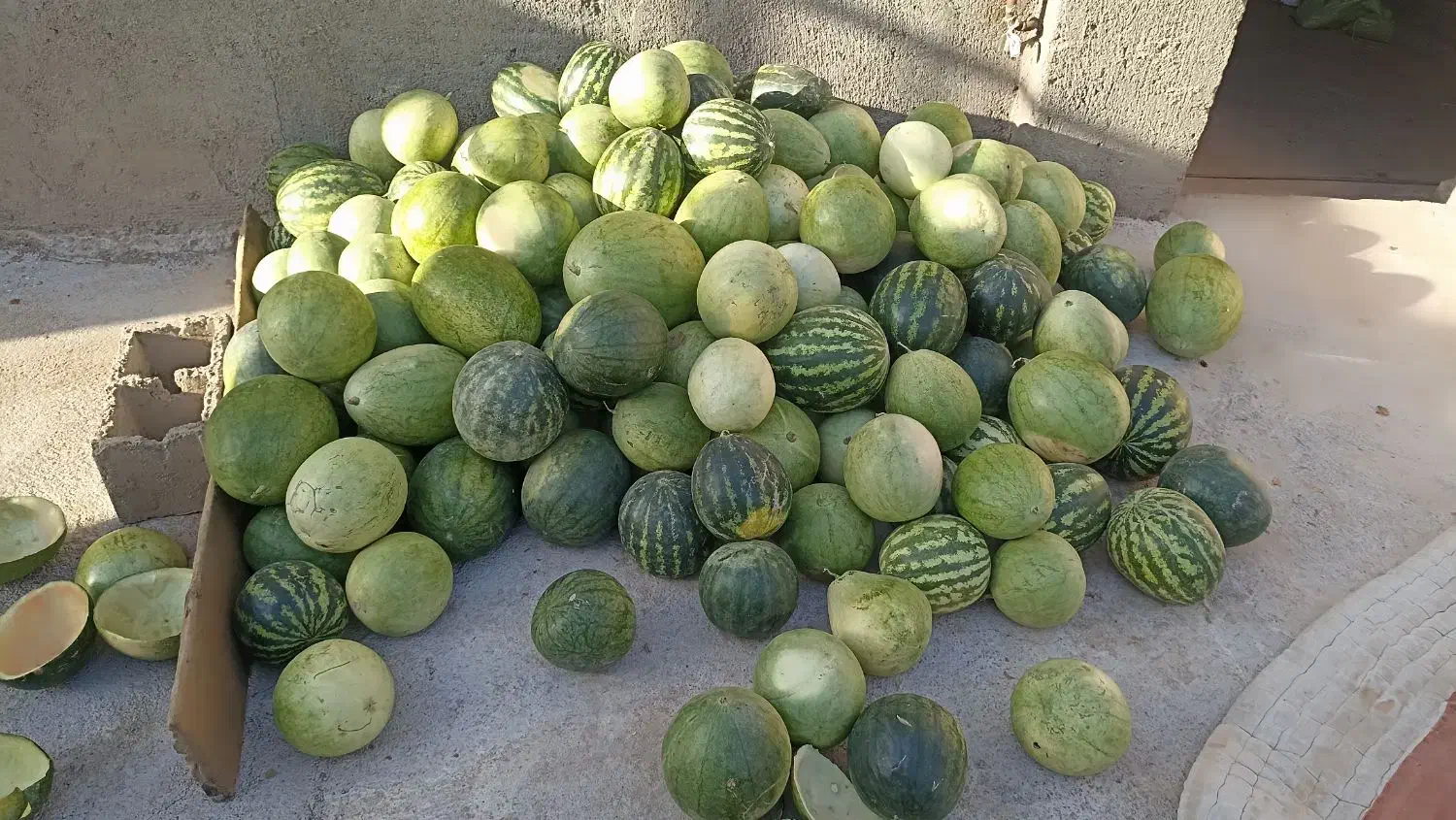 میوه تازه|خوردنی و آشامیدنی|میان جلگه, |دیوار