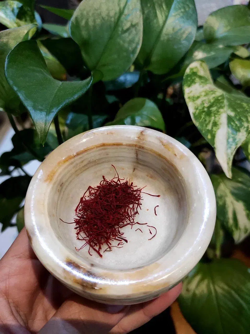 زعفران|خوردنی و آشامیدنی|تهران, دانشگاه شریف|دیوار