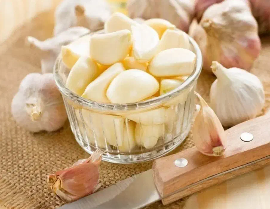 زیتون فروشی فرشاد|عمدهفروشی|ابرکوه, |دیوار