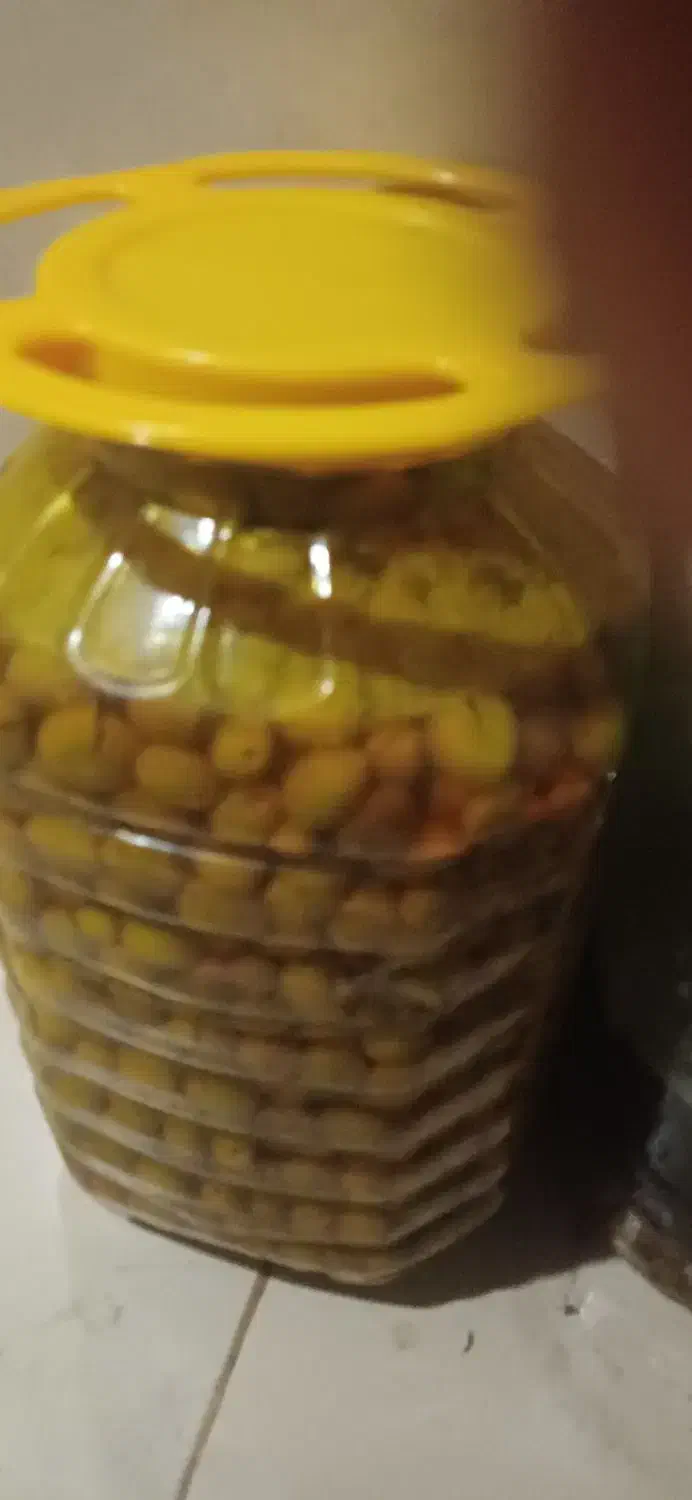 فروش محصولات زیتون باقیمت مناسب|خوردنی و آشامیدنی|رشت, بوسار|دیوار