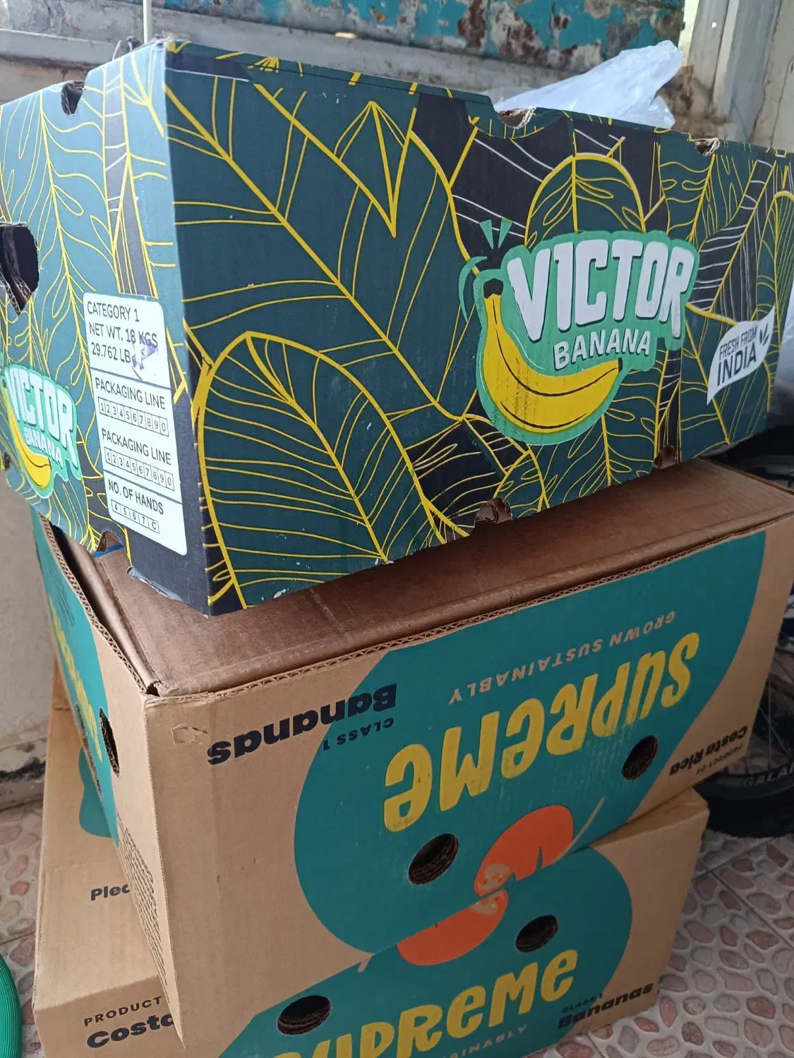 کارتن موز|حراج|خرم‌آباد, |دیوار