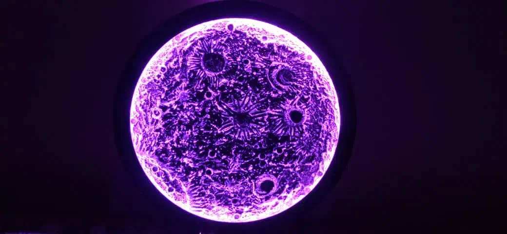 تابلو شب نما|تابلو، نقاشی، عکس|خرمآباد, |دیوار