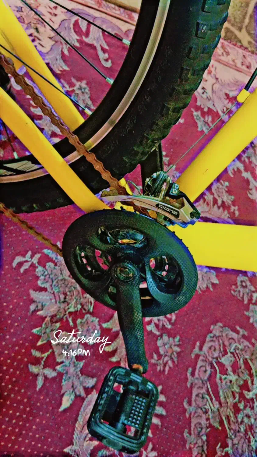 دوچرخه ویواا26|دوچرخه، اسکیت، اسکوتر|خرمشهر, |دیوار