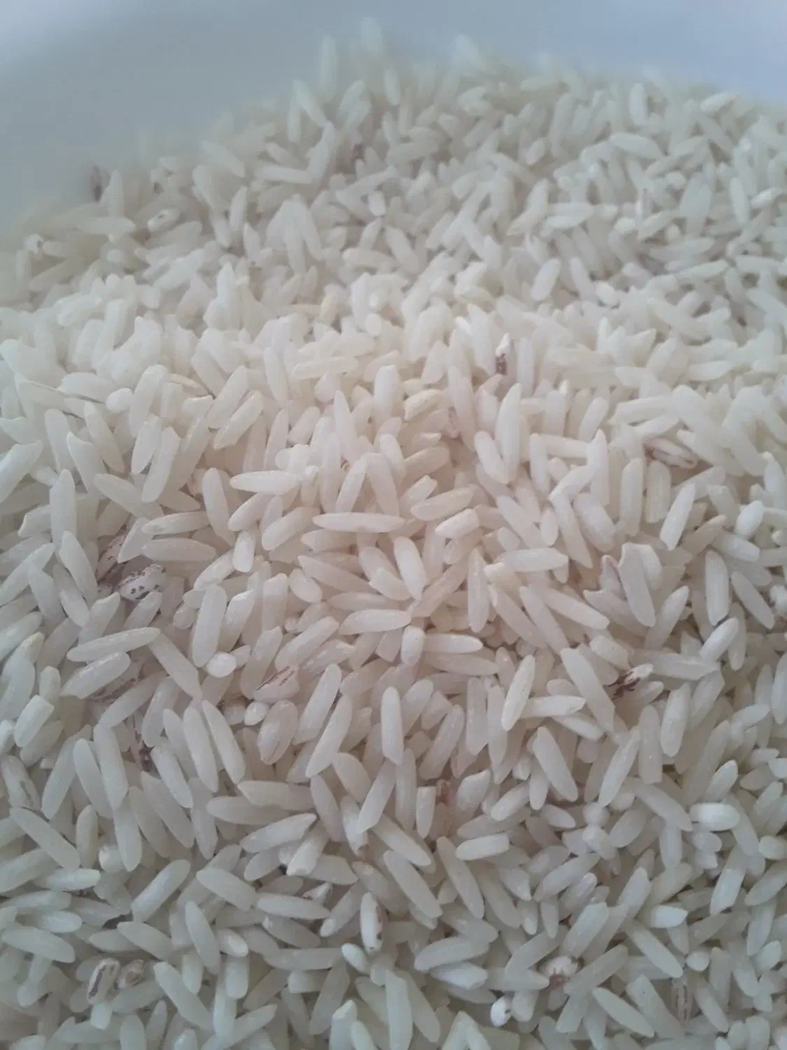 برنج طارم درجه یک برداشت امسال|خوردنی و آشامیدنی|ایلام, |دیوار