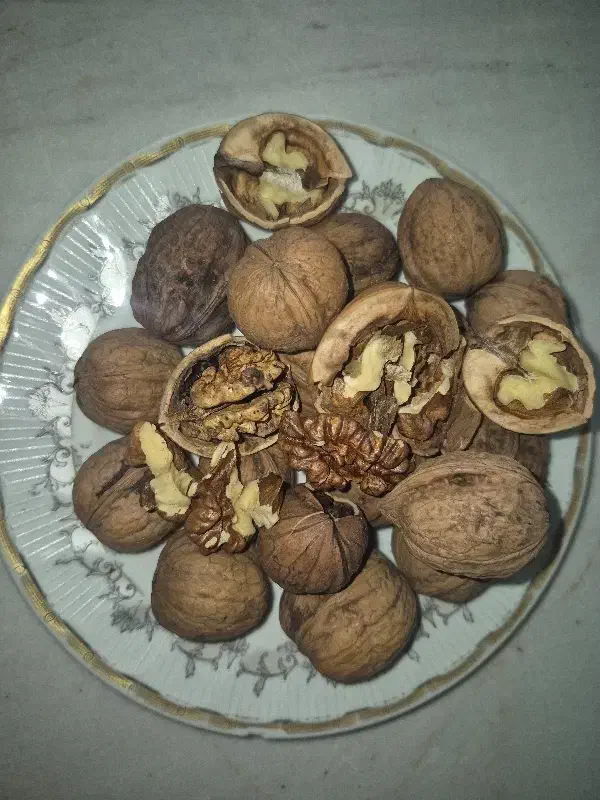 گردو درجه یک|خوردنی و آشامیدنی|قم, زند آباد|دیوار