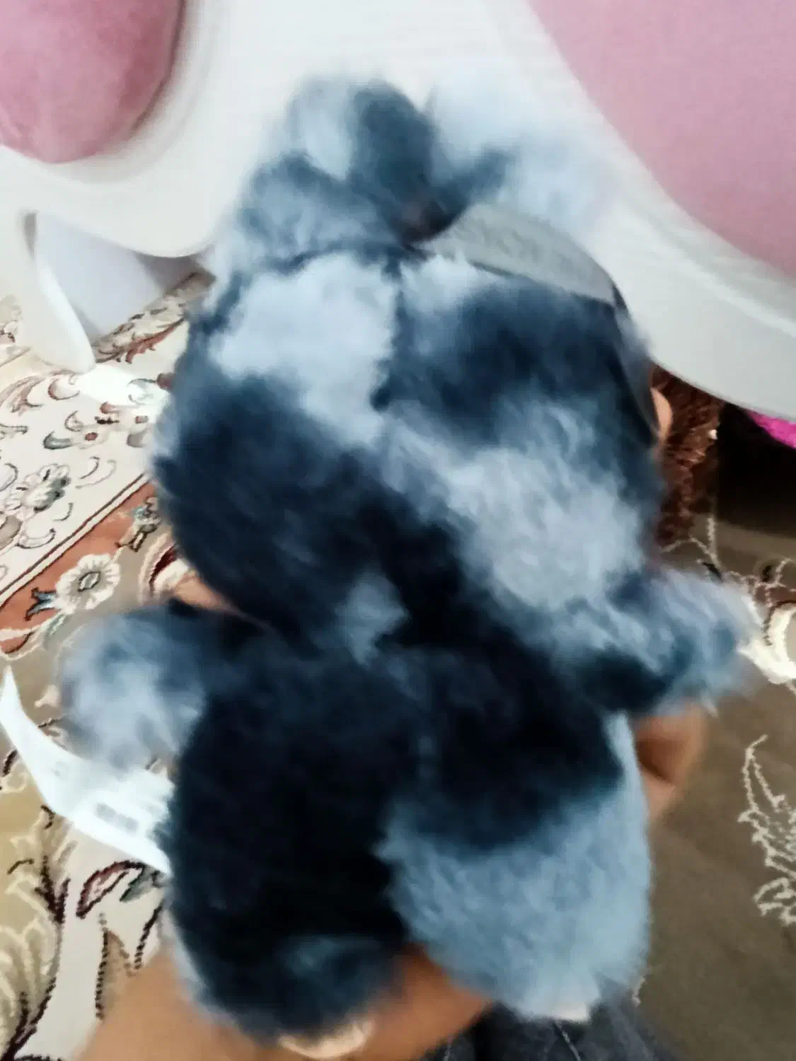 لبوبوسیکلت زیر قیمت|اسباب‌‌بازی|شیراز, رکن‌آباد|دیوار