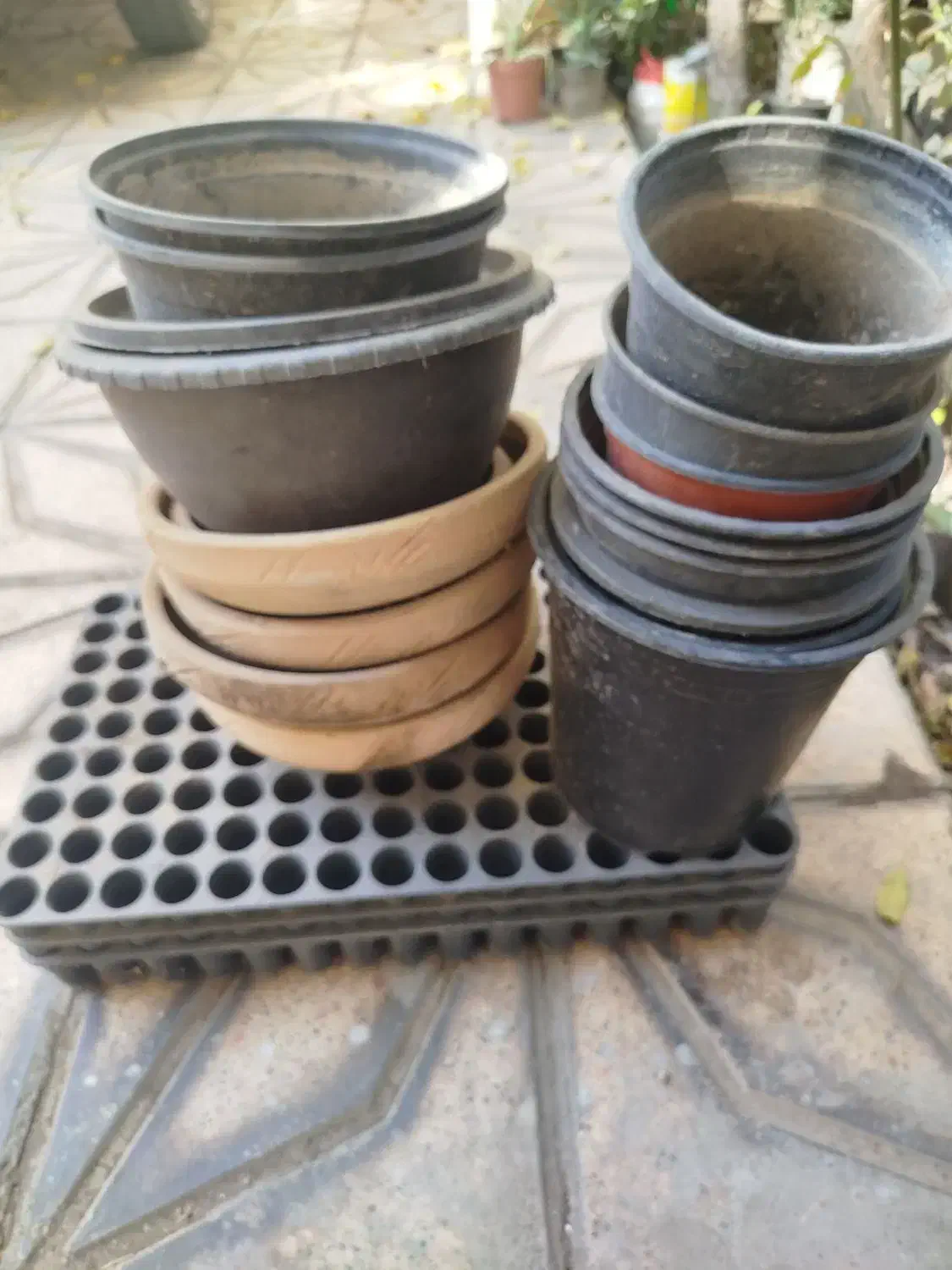 گلدان خالی|گل و گیاه طبیعی|شاهرود, |دیوار