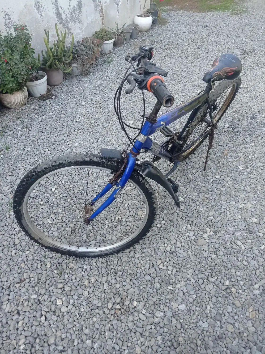 دوچرخه 24 بفروش میرسد|دوچرخه، اسکیت، اسکوتر|آمل, |دیوار