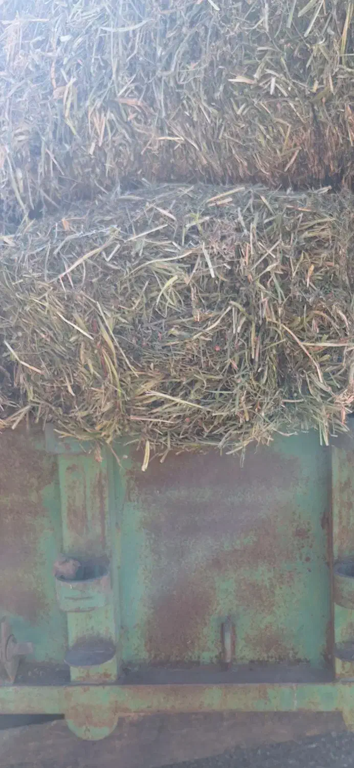 پرس شبدر|عمدهفروشی|بیرانوند, |دیوار