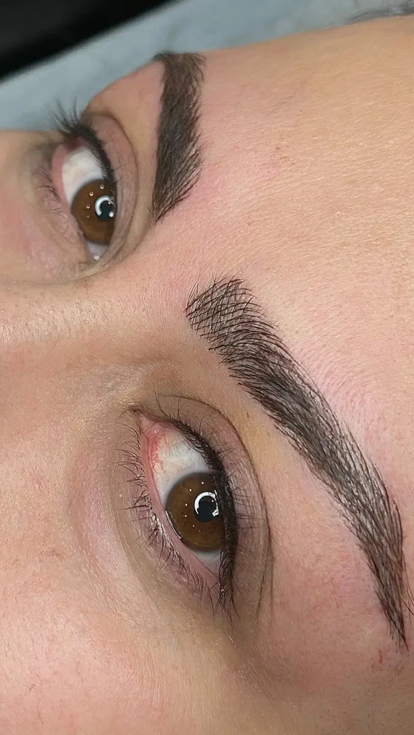 آرایش دائم بدون دستمزد/گلسار|خدمات آرایشگری و زیبایی|رشت, دیلمان|دیوار