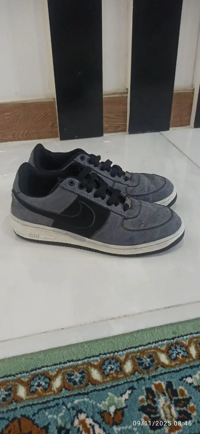 کفش|کیف، کفش، کمربند|گنبد کاووس, |دیوار