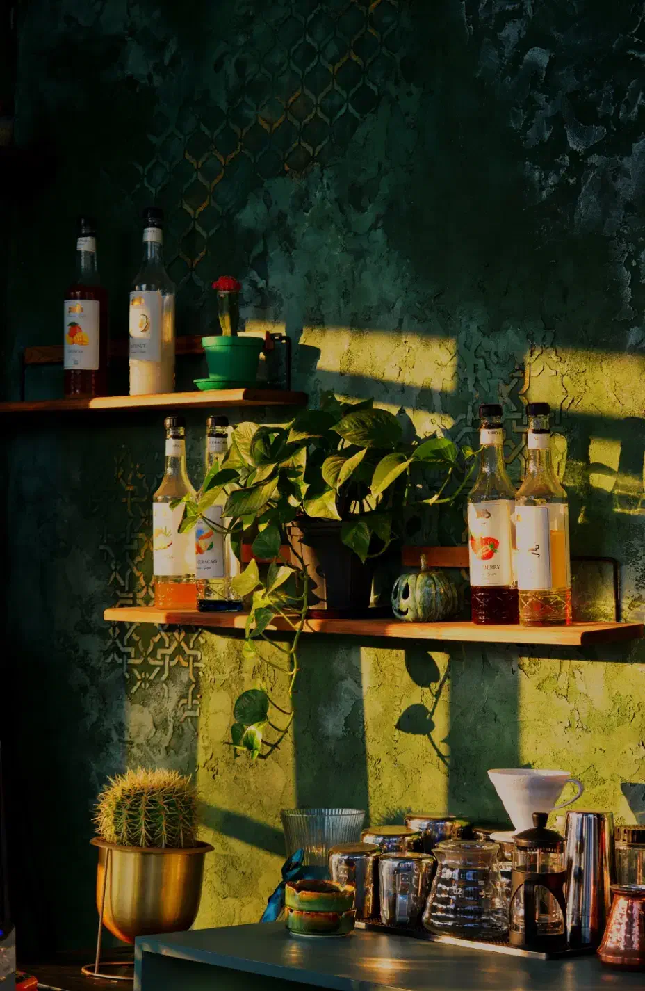 استخدام باریستا|استخدام خدمات فروشگاه و رستوران|رشت, دیلمان|دیوار