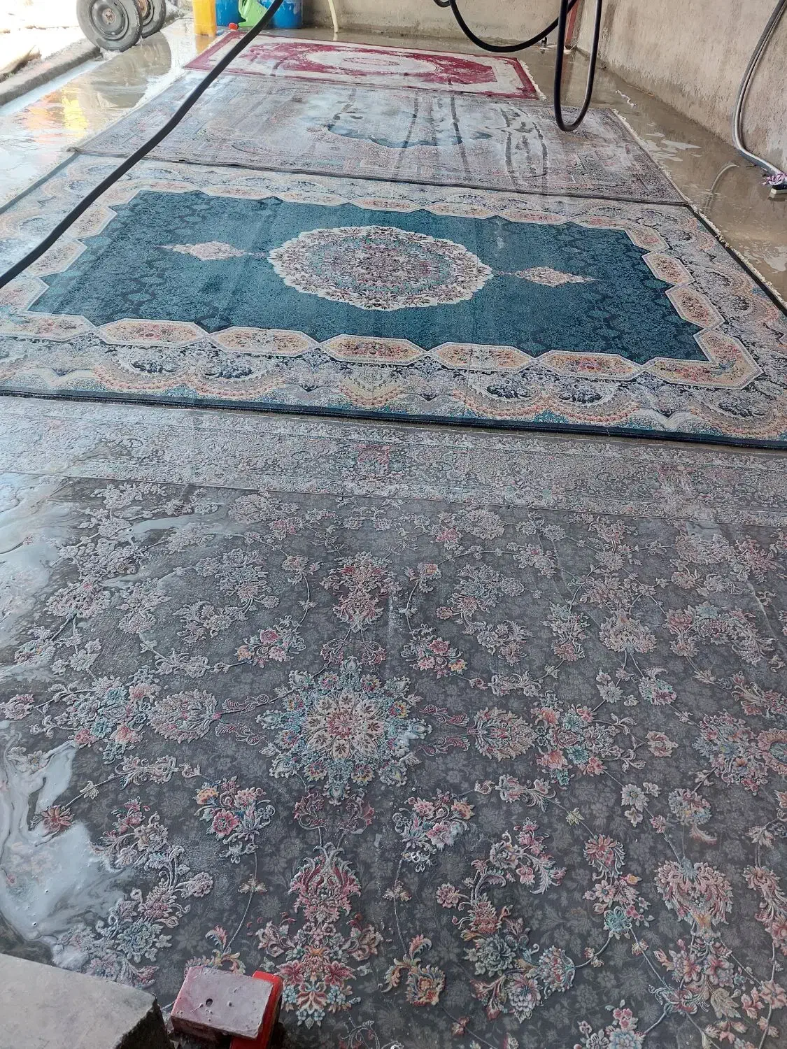 قالیشویی برادران ریگی|خدمات نظافت|خان ببین, |دیوار