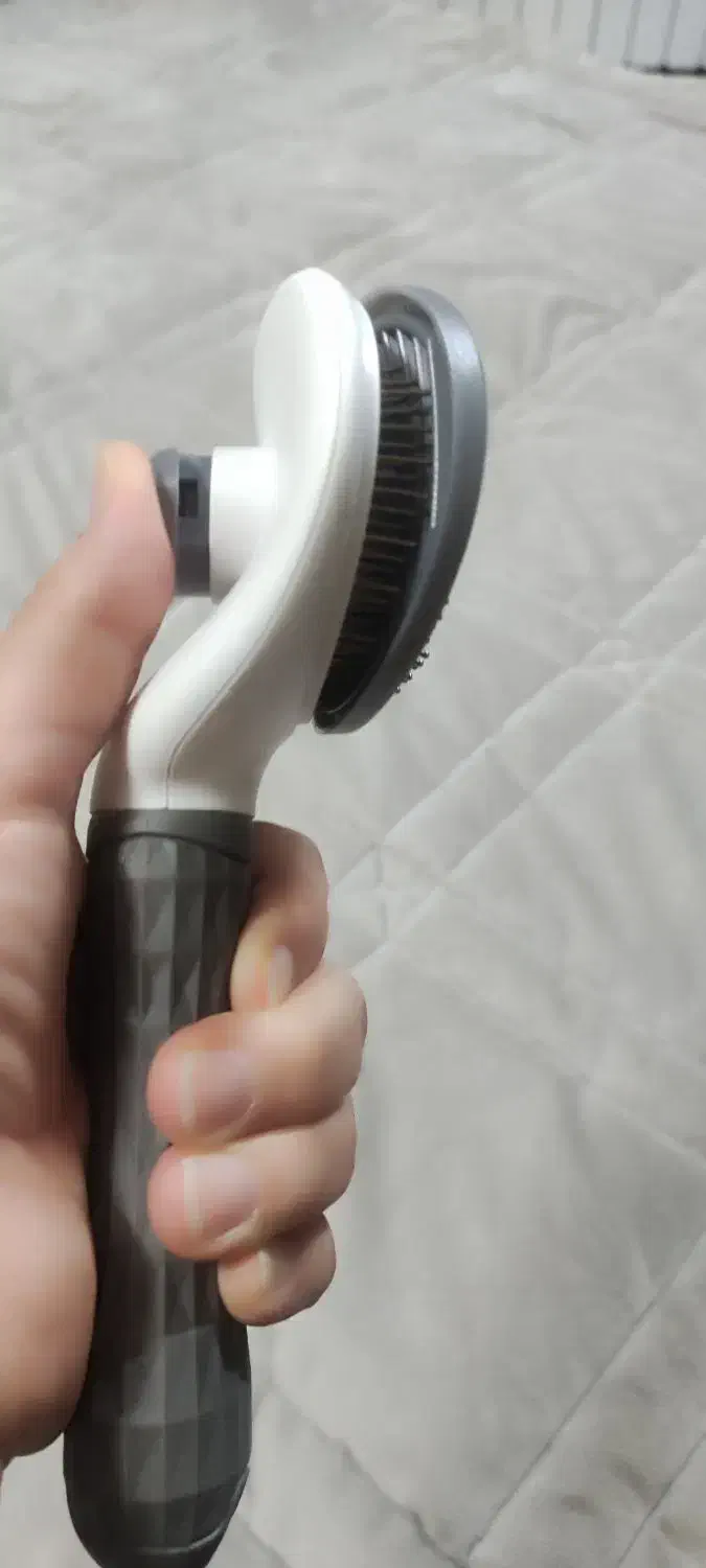 وسایل گربه|لوازم جانبی حیوانات|مشهد, دانشجو|دیوار