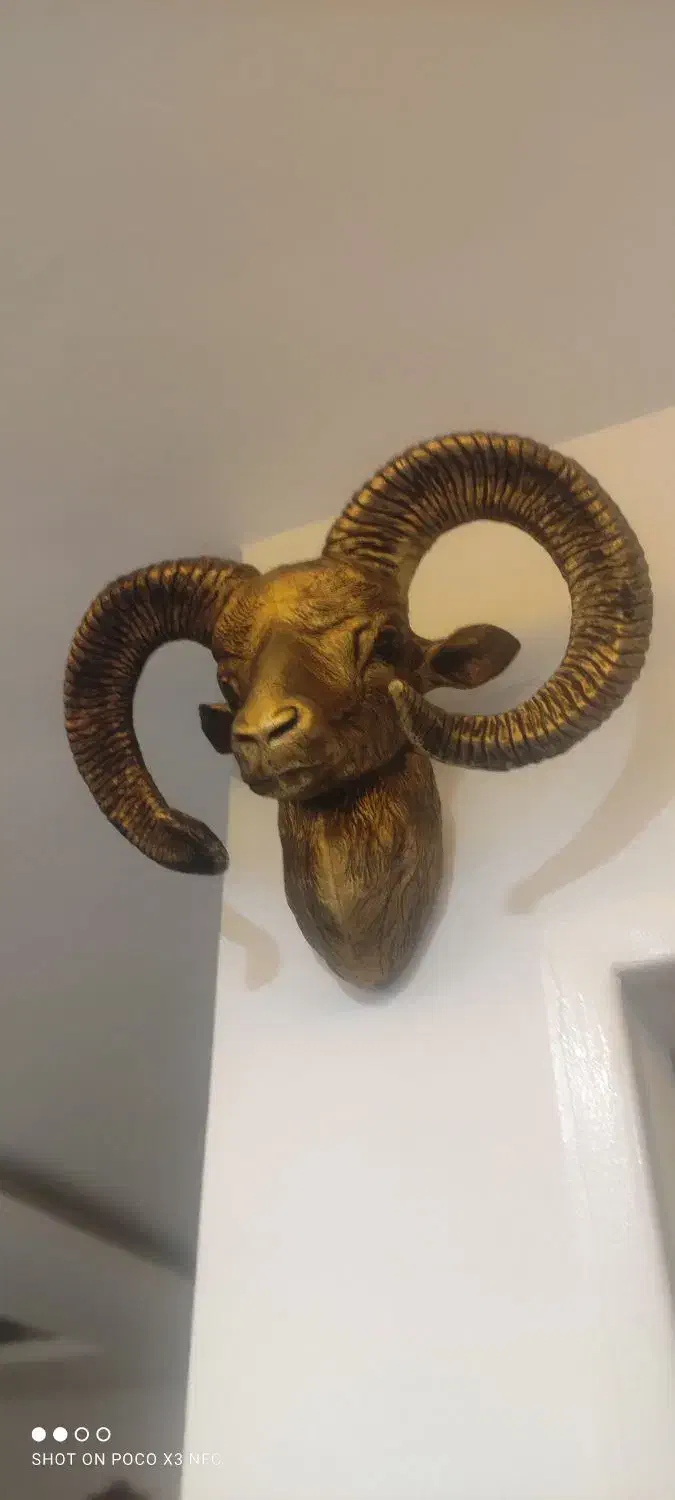 دکوری|مجسمه، تندیس، ماکت|ورامین, ورامین|دیوار