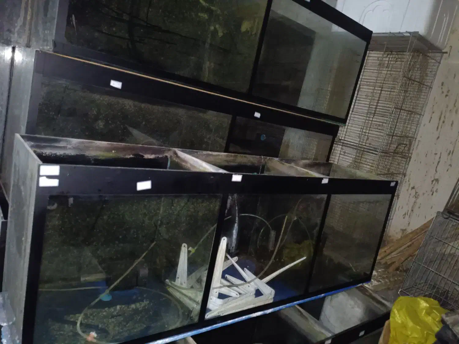 شیشه خالی|فروشگاه و مغازه|تالش, هشتپر|دیوار