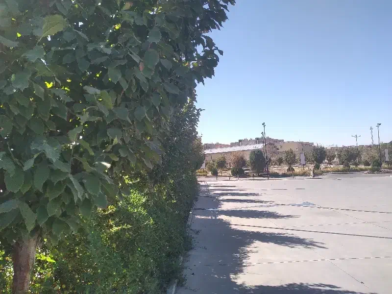 انجام امور نگهداری از باغچه|خدمات باغبانی و درختکاری|قم, شاد قلی|دیوار