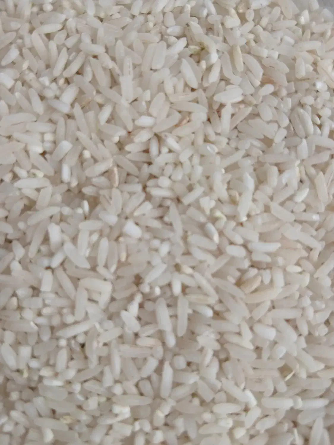 برنج نیمدانه ۱۵۵و لاشه ۱۷۵و هاشمی ۲۶۰و فجر ۱۷۵|خوردنی و آشامیدنی|بابکان, |دیوار