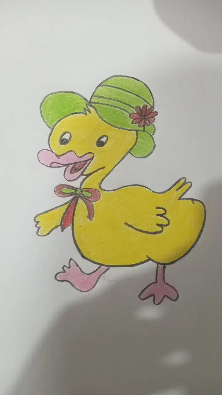 عروس هلندی و مرغ عشق|پرنده|بم, |دیوار