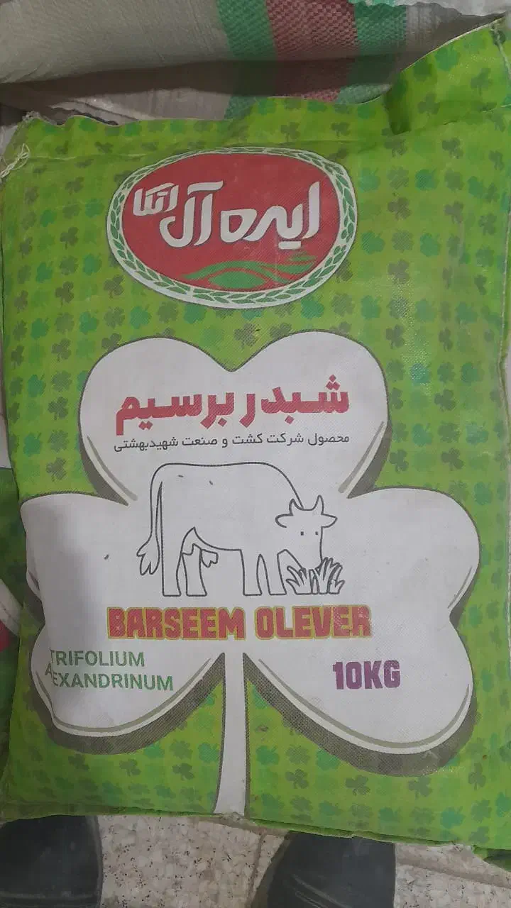 بدر شبدر|خدمات باغبانی و درختکاری|شوشتر, |دیوار